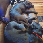 levi & wyatt - @_levi_and_wyatt_ - Instagram