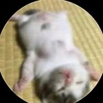 LEVIZOOKA ★★ - @170_levizooka - Instagram