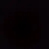 levonjohnson.1232 - @levonjohnson.1232 - TikTok