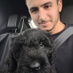 Daniel Levy Davis - @daniellevydavis - Instagram