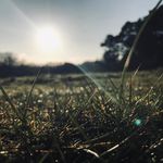 Lewis Abbott - @lewis_abbotts_photography - Instagram