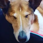 lewis abbott - @idontsmile66 - Instagram