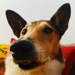 Lewis Abbott - @_idontsmile666 - Instagram