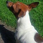 Lewis Abbott - @lewisabbott78 - Instagram