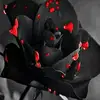 TapDabIN - @thedabnerlewispro - TikTok
