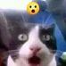 Lewis Abrams - Facebook