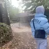 lewisbaum2022 - @lewisbaum2022 - TikTok