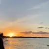 lewisbengel - @lewisbengel - TikTok