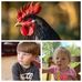 Lewis Bolin - Facebook