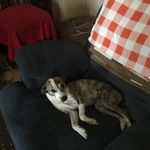 Jeffery Bragg - @irene_lewis_bragg - Instagram