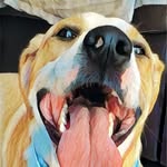 Lewis Bragg - @lew.is.brag - Instagram