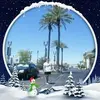 buncheslewis - @buncheslewis - TikTok