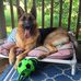 Lew Bunch - Facebook