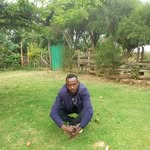 Lewis Chumba - @lewischumba - Instagram