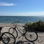 Barbara Lewis Coe - @barbaralewiscoe - Instagram