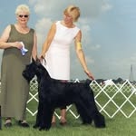 Julie Lewis Crouch - @crouch9548 - Instagram