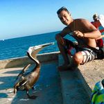 Lewis Cuevas - @lewiscuevasn - Instagram