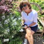 Debbie Lewis DeWitt - @debbiedewittisawesome - Instagram