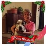 Lori Wales Dewitt Lewis - @loriwalesdewittlewis - Instagram