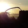 Lewis Dyer - @lewisdyer33 - TikTok