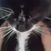Lewis Dyer - @ld_._ - TikTok