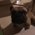 Lewis Eckert - @lewiseckert770 - Instagram
