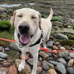 Lewis Elder - @lewis.elder.79 - Instagram