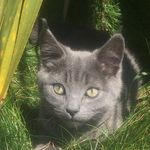 Lewis_Eley - @lewis_eley1 - Instagram