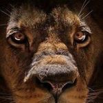 Engel Lewis Vicente - @engellewisvicente - Instagram