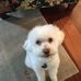 Lewis Engel - Facebook