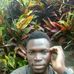 Lewis JR Aps - Facebook