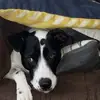lewisferris53 - @lewisferris53 - TikTok