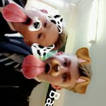 Lewis fisher - @fisher.lewis03 - Instagram