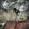 ️ - @lewis.fuller59 - TikTok