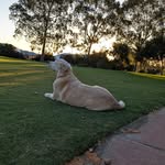 Lewis Fuller - @lewis.fuller09 - Instagram