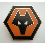 Lewis Goodman - @lewis_wolves_fc - Instagram