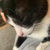 Lewis Hansen - Facebook