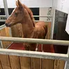 Louis henry - @louis091011 - TikTok
