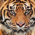 Lewis and Clark High School Class of 2016 - Facebook