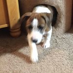 Grace Lewis Hinton - @bgracelewis - Instagram