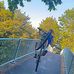 Lewis Hodges - Facebook