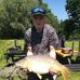 Lewis Holman - Facebook