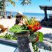 Rachel Horwitz Lewis - Facebook