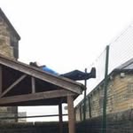 Lewis Howes - @howes.lewis - Instagram
