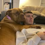 Lewis Isom - @lewisisom - Instagram