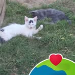 Lewis Jimenez - Facebook