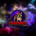 Lewis.  luna.kennelzltd - @lunakennelzltd2 - Instagram