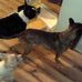 Lewis Masterson - Facebook