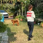 May Lai - @lewismaylai - Instagram