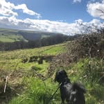 Lewis Mcbride - @lewis160209 - Instagram
